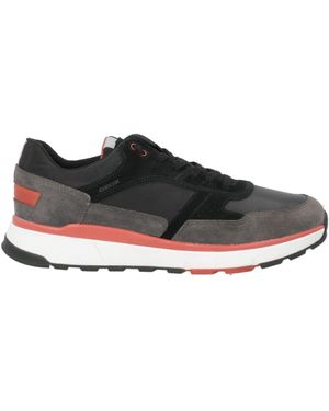 Geox Trainers - Multicolour