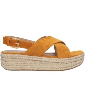 Sergio Rossi Espadrillas - Marrone