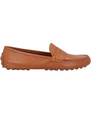 Ferragamo Loafer - Brown