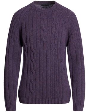 Daniele Fiesoli Jumper Merino Wool - Purple
