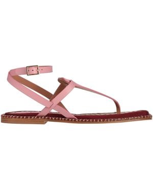 Paola D'arcano Thong Sandal - Pink