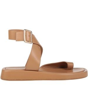 Gia Borghini Thong Sandals - Brown