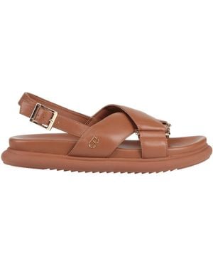Tosca Blu Sandals - Brown