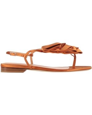 Lella Baldi Thong Sandal - Brown