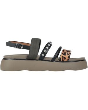 CafeNoir Sandals - Multicolour