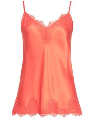 Pink Memories Top - Rose