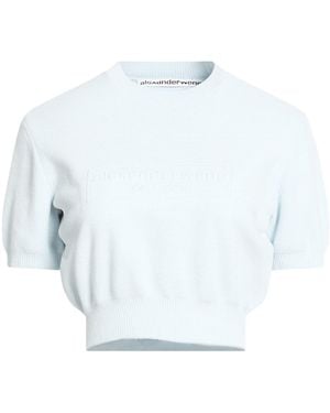 Alexander Wang Pullover - Blau