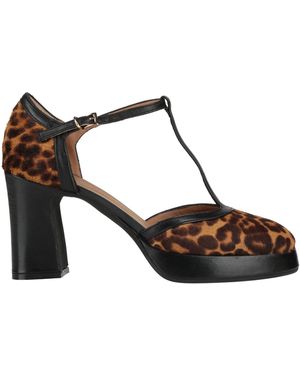 Roberto Festa Pumps Leather - Brown