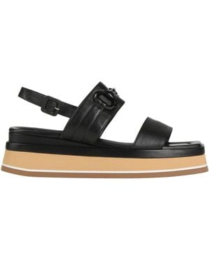 Walter Violet Sandales - Noir