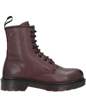 Cinzia Soft Chocolate Ankle Boots Synthetisches Material - Brown