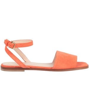 Pollini Sandals - Pink