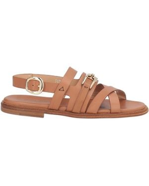 Triver Flight Sandals Leather - Brown