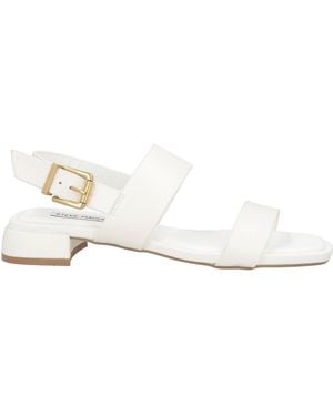 Steve Madden Sandals - White