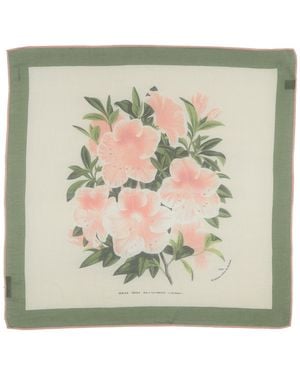 Colombo Scarf - Green