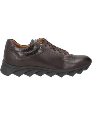 Cerruti 1881 Sneakers Calfskin - Brown