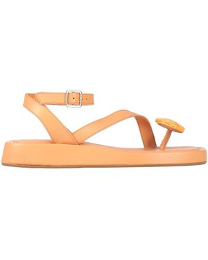 GIA RHW Infradito - Marrone