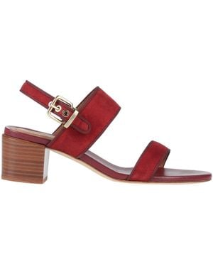 Vanessa Bruno Sandals - Pink