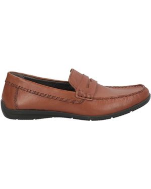 Igi&co Tan Loafers Calfskin - Brown