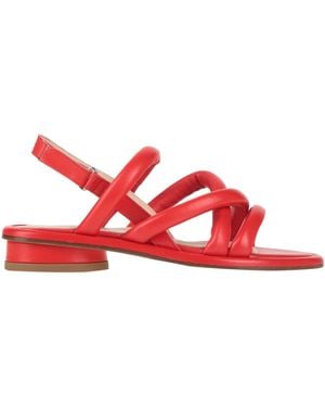 Agl Attilio Giusti Leombruni Sandalias - Rojo