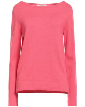 Maliparmi Sweaters - Pink