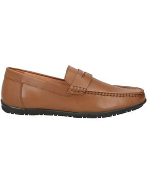 Loriblu Loafer - Brown