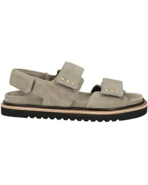 Dorothee Schumacher Sandals Leather - Grey