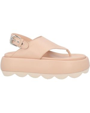 Agl Attilio Giusti Leombruni Blush Thong Sandal Leather - Pink