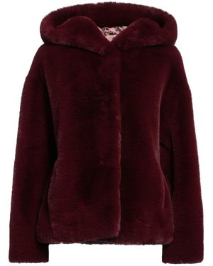 Gaelle Paris Shearling & Teddy - Viola