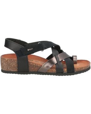Igi&co Thong Sandal Leather - Brown