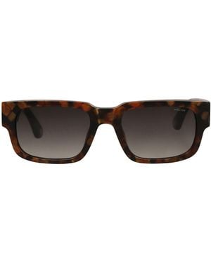 Police Sunglasses - Brown