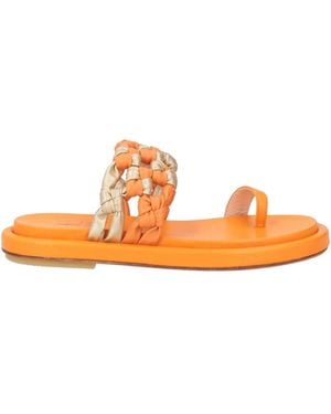 Fabi Thong Sandal Leather - Orange