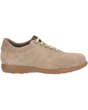 Frau Sneakers Leather - Brown