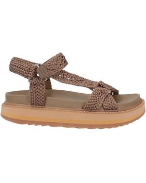 Ash Sandals - Brown