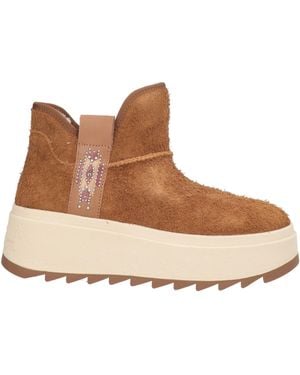 Ash Bottines - Marron