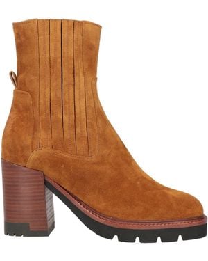 Bruno Premi Ankle Boots - Brown