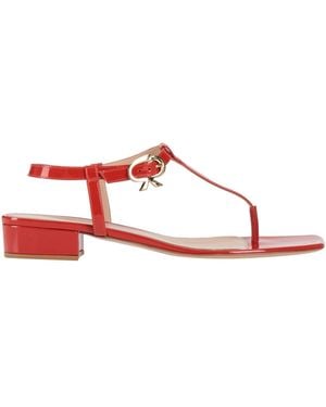 Gianvito Rossi Thong Sandal - Pink