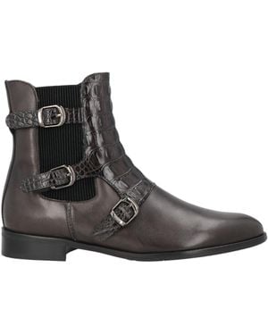 Pertini Stiefelette - Braun