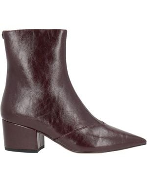 Twinset Ankle Boots - Brown