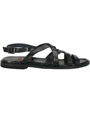 Moma Sandals Calfskin - Black