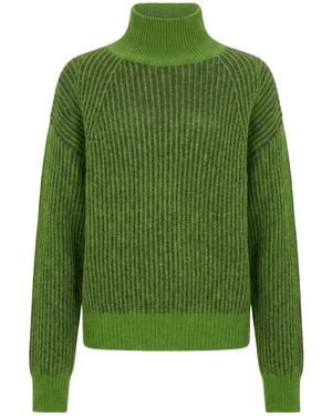 Tela Turtleneck Alpaca Wool, Polyamide, Acrylic, Virgin Wool, Mohair Wool - Green