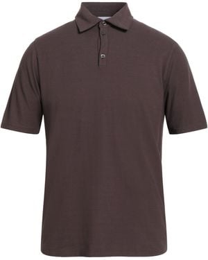 Alpha Studio Polo - Marrone