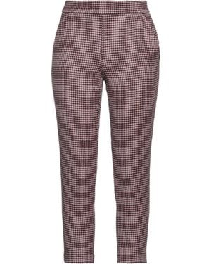 Carla G Trouser - Purple