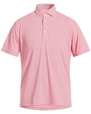 Ghirardelli Polo Shirt Nylon, Elastane - Pink