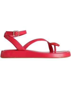 GIA RHW Thong Sandal - Red