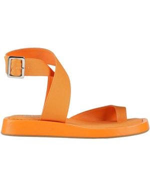 GIA RHW Thong Sandal - Orange