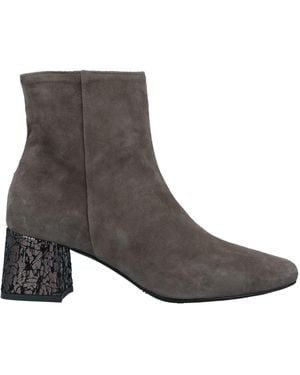 Pollini Ankle Boots - Multicolour