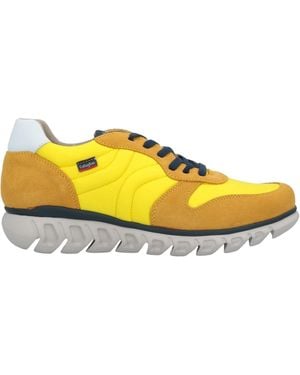 Callaghan Sneakers - Yellow