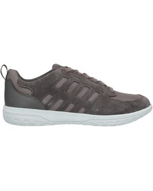 Geox Sneakers - Gray