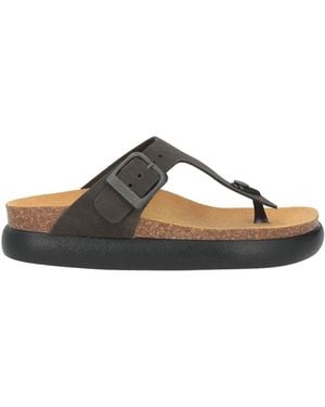 Scholl Charcoal Thong Sandal Textile Fibres - Brown