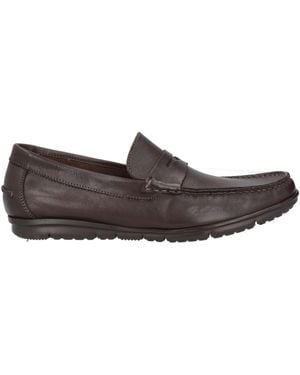 Calpierre Mocassino - Marrone